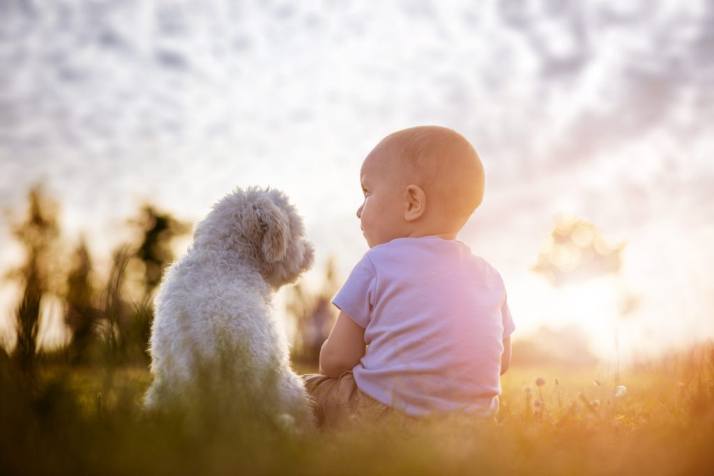 Boy and puppy